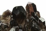 Dark Smoky Quartz Crystal Cluster - Brazil #273018-1